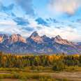 impressive mountains surrounded by a forest of trees at grand teton national park, wyoming